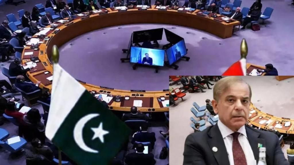 बिल्ली से दूध की रखवाली करा रहा है UNSC? पाकिस्तान को मिली इस जिम्मेदारी से भारत की बेचैनी बढ़ना लाजमी