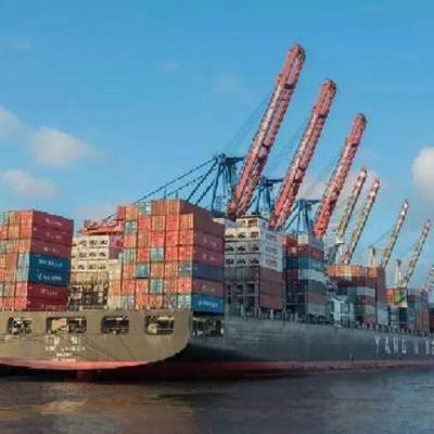 ट्रंप के टैरिफ से भारत को मिला 'आपदा में अवसर', एक्सपोर्ट को लेकर रणनीति बदलने की तैयारी