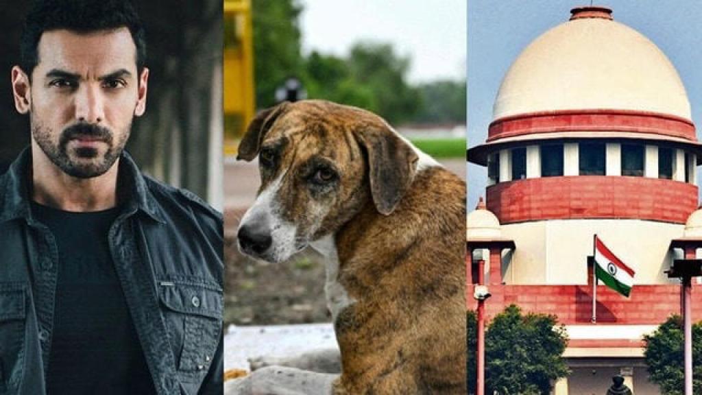 कुत्तों को 'धरती का भगवान' कह चुके जॉन अब्राहम का CJI को भावुक लेटर