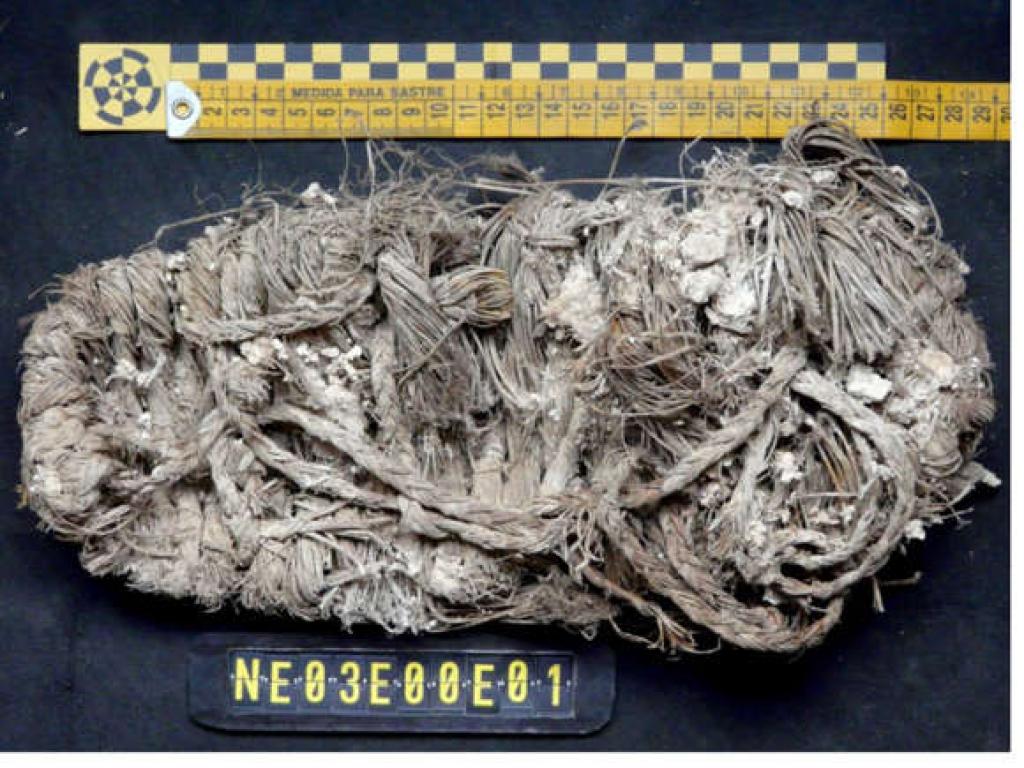 घोंसले से आखिर कैसे निकला 650 साल पुराना जूता? गिद्धों ने ऐसे बचा रखी है इंसानों की सभ्यता