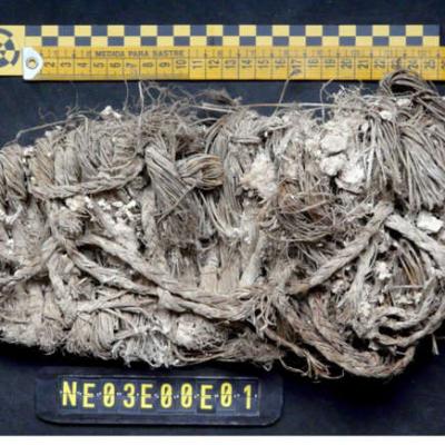 घोंसले से आखिर कैसे निकला 650 साल पुराना जूता? गिद्धों ने ऐसे बचा रखी है इंसानों की सभ्यता