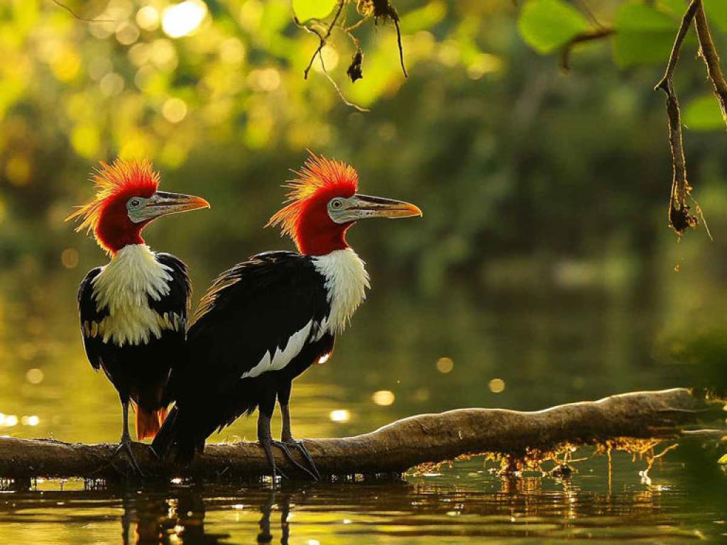 गुफा, किले और सुंदरता का बेजोड़ मेल है यहां पर